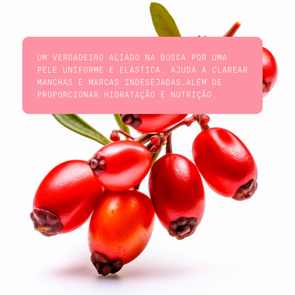 Óleo de rosa mosqueta puro 140 ml Beauts: ingrediente natural