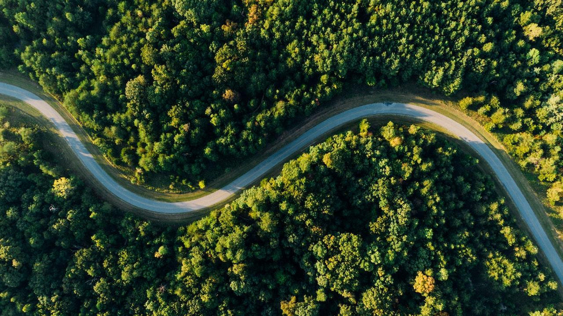 Vamos falar de impacto ambiental positivo? Vem com a gente! - Beauts