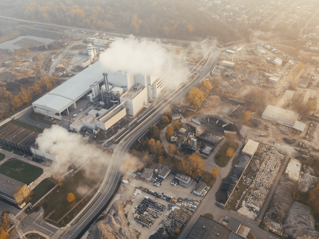 Saiba como a Beauts aderiu a neutralização de carbono e como funciona - Beauts