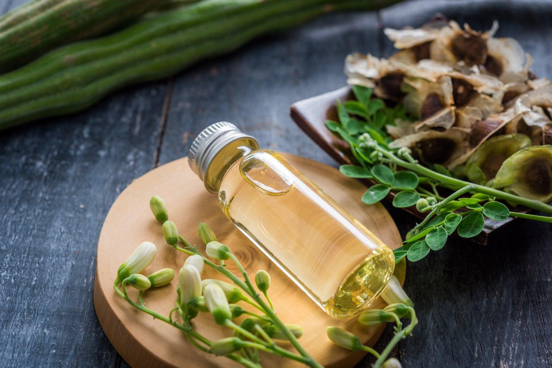 Moringa Oleifera: tudo sobre essa planta e seus benefícios - Beauts