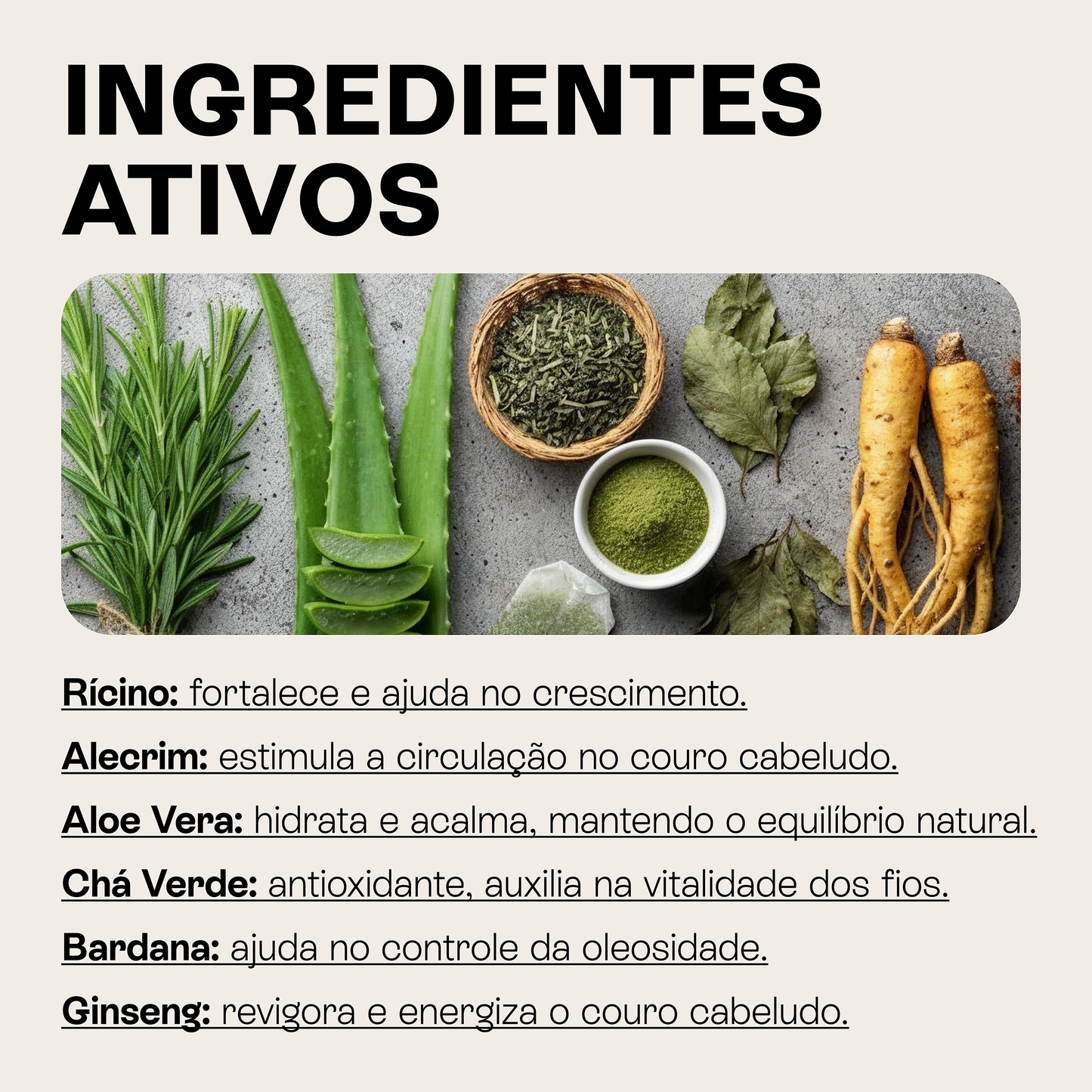 Shampoo Antiqueda com Ervas Milenares