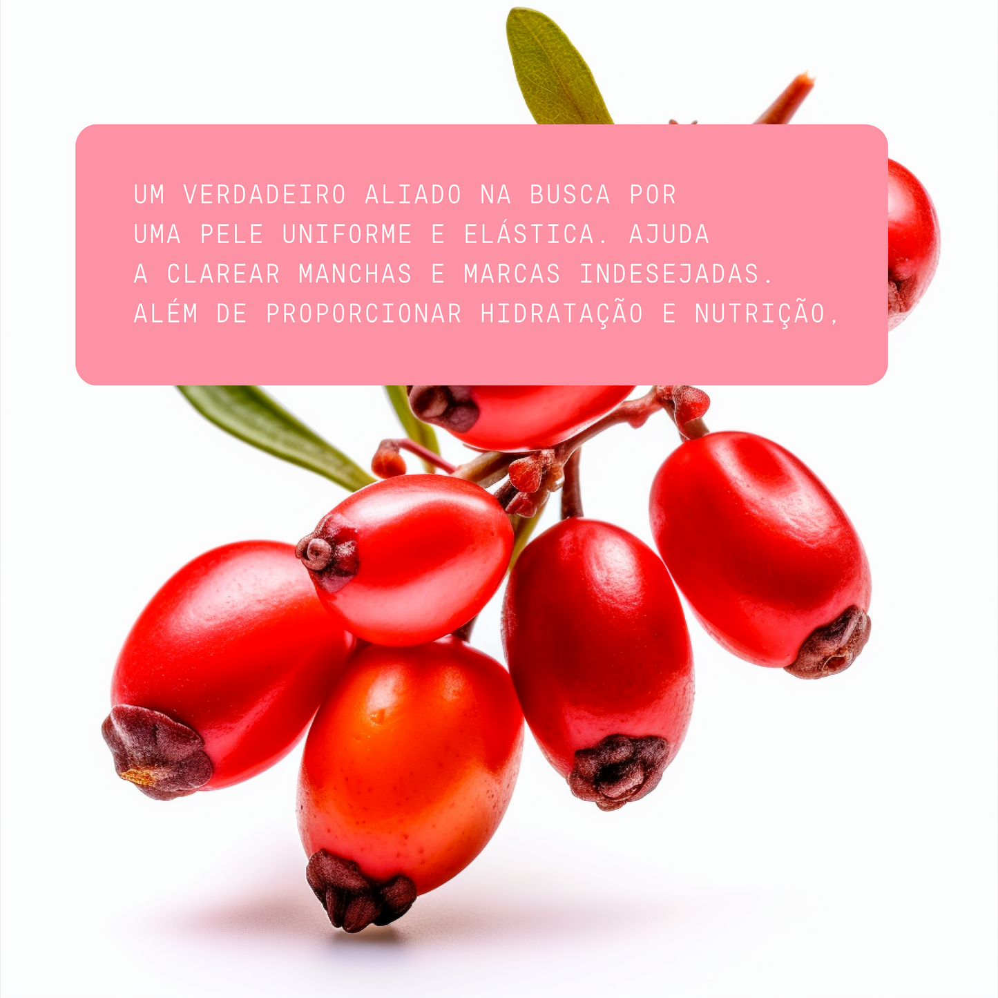 Óleo de Rosa Mosqueta Pura